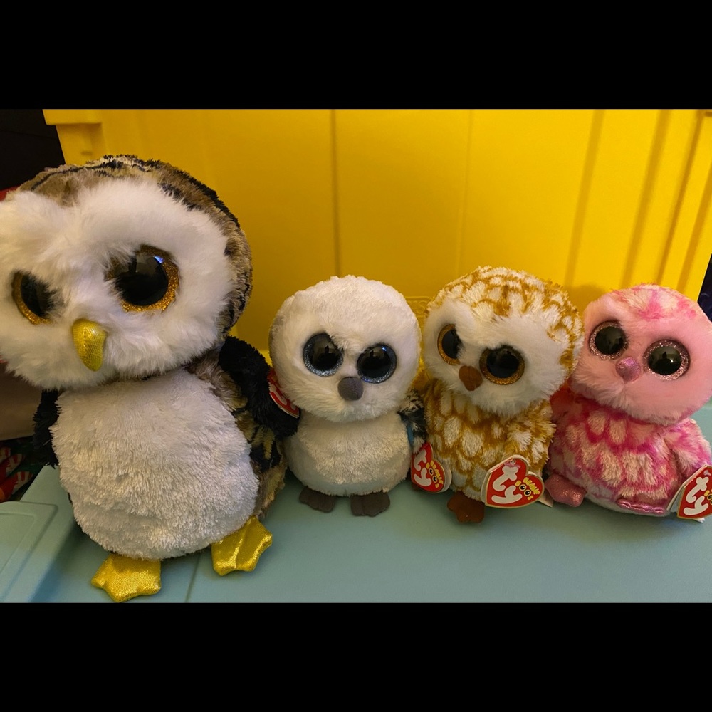 TY Owl Collection Bundle